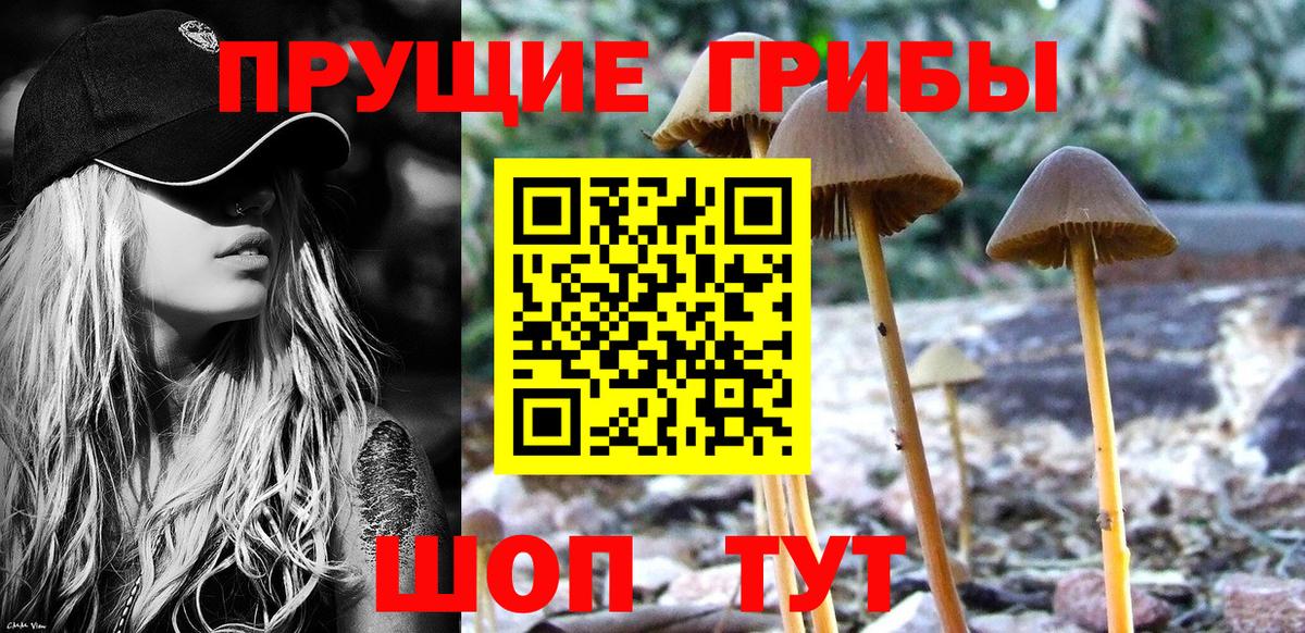 Галлюциногенные грибы прущие грибы Калач-на-Дону