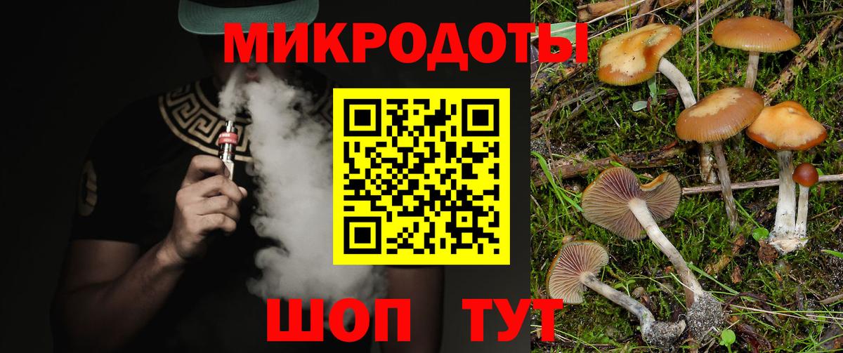 Калач-на-Дону  Псилоцибиновые грибы ЛСД  Вход с VPN 